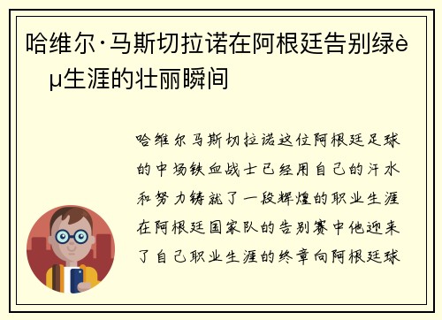 哈维尔·马斯切拉诺在阿根廷告别绿茵生涯的壮丽瞬间 哈维尔·马斯切拉诺在阿根廷告别绿茵生涯的壮丽瞬间