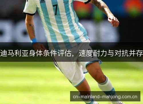 迪马利亚身体条件评估，速度耐力与对抗并存